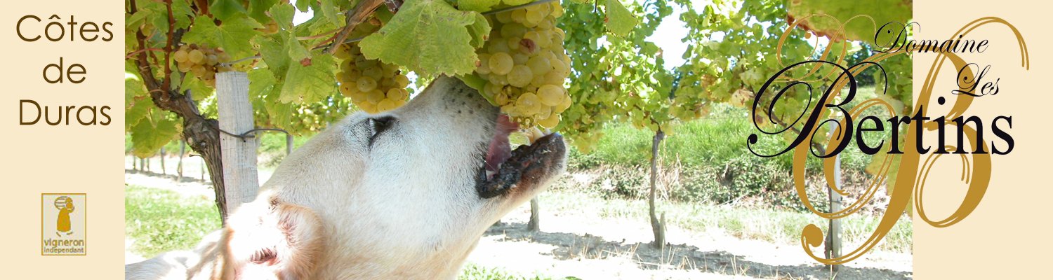 Domaine Les Bertins