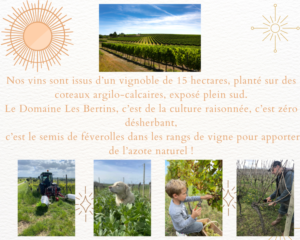 Domaine les Bertins - All You Need to Know BEFORE You Go (with Photos)